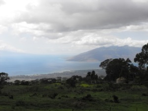 View onto the flat area of Maui